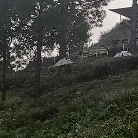 Nainital Adventure Park & Resort Екстер'єр фото
