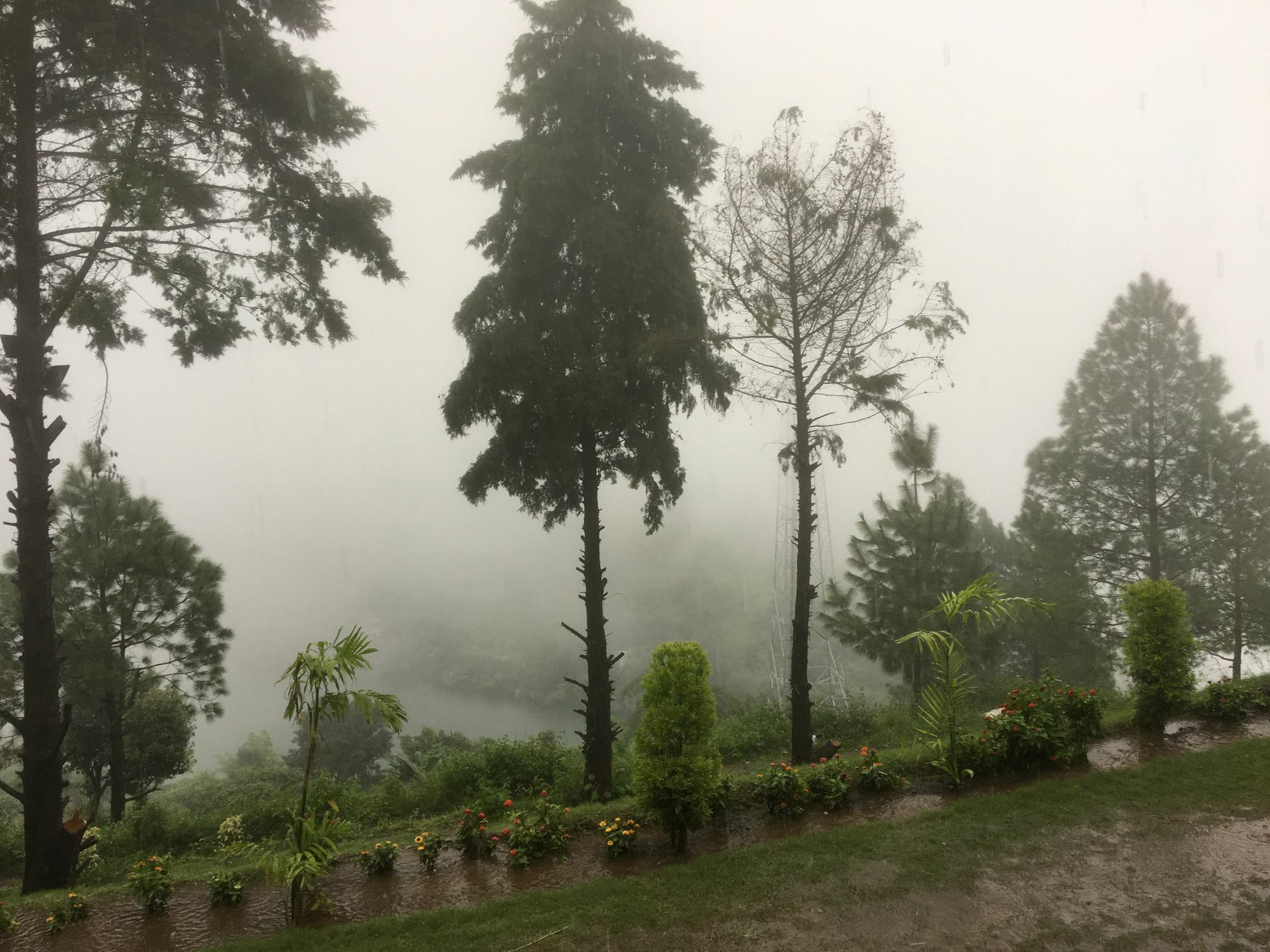 Nainital Adventure Park & Resort Екстер'єр фото